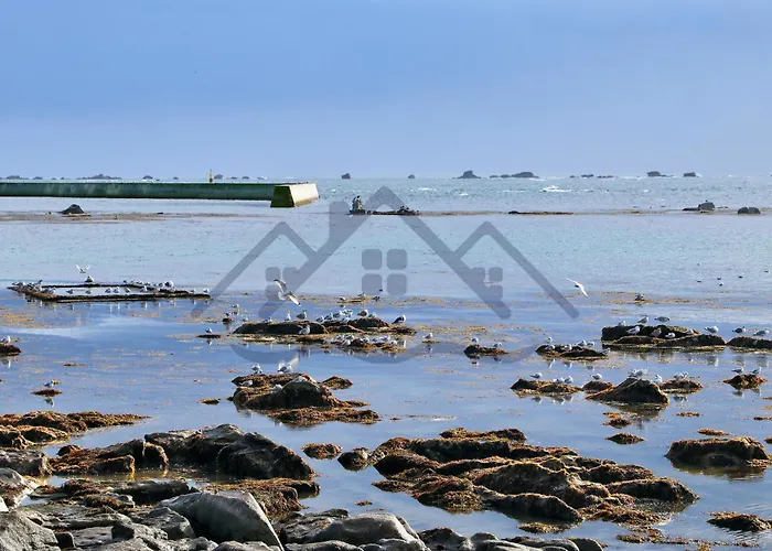 Localise - M44 - Ty Juzolie -Maison De Plain-Pied Avec Jardin Clos A Deux Pas Du Centre, Du Port Et Des Plages Du Guilvinec - Wifi Inclus - Linge De Lit Inclus - Animaux Bienvenus